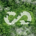 Transitioning to a Circular Economy: Austin's Policy Against Climate Change