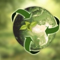 The Benefits of Adopting Sustainable Practices in Austin