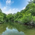 Austin's Comprehensive Policy Against Climate Change: Addressing Water Quality and Conservation