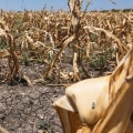 The Impact of Austin's Policy Against Climate Change on Food Security and Agriculture