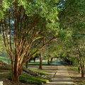 Austin's Green Future: Plans for Increasing Green Spaces and Urban Forests as Part of the Policy Against Climate Change