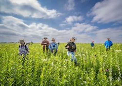 Protecting Natural Habitats and Biodiversity in Austin: The City's Policy Against Climate Change